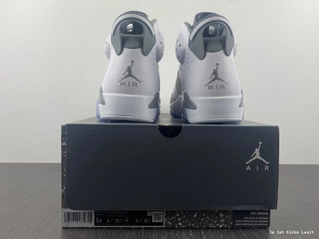 Jordan 6 Grey CT8529-100 Air Cool 0721